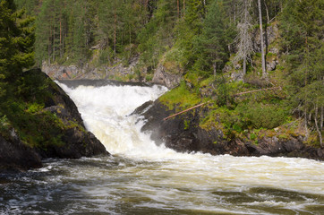 Waterfall on the wild river in northern Finland in summer.