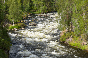 Rapids on the wild river in northern Finland in summer. - obrazy, fototapety, plakaty