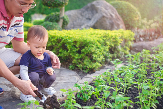 Asian father teaching cute little 18 months / 1 year old toddler baby boy child planting young tree on black soil in green garden, Dad and son gardening together, Save the world & environment concept - Powered by Adobe