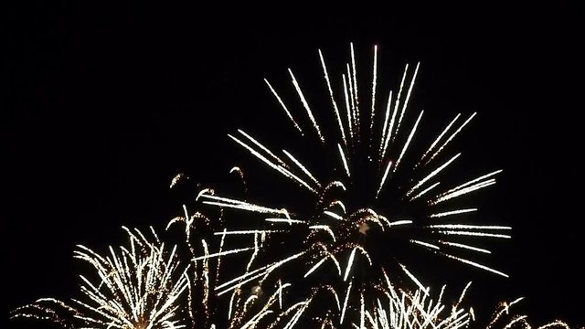 night firework celebration footage