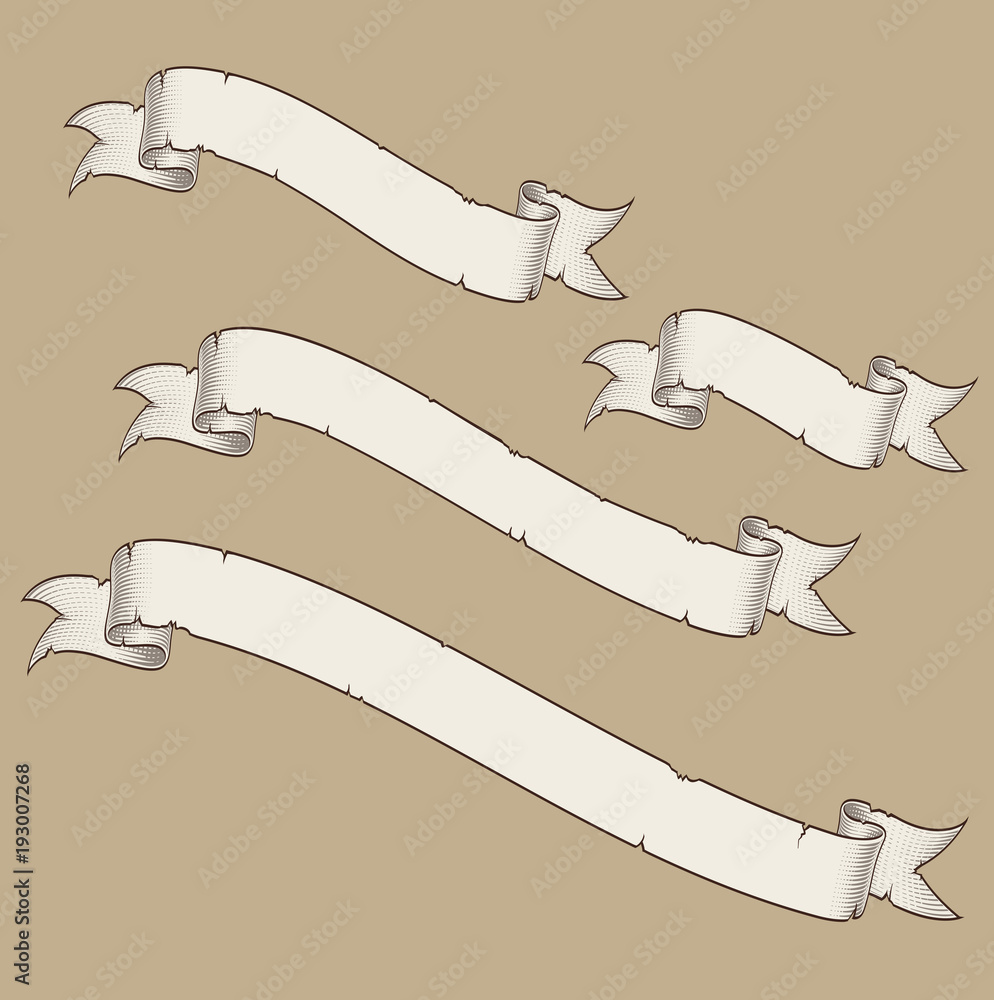 Wall mural papyrus scroll curved diagonal four sizes 4