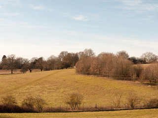 view of open green empty grass fields outside spring dedham vale landscape