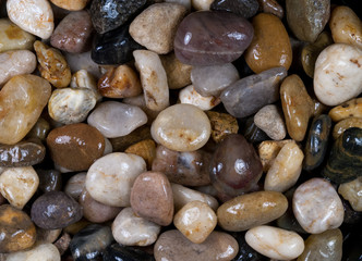 Wet rocks