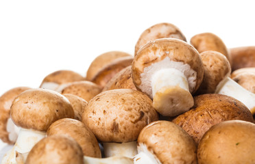 raw mushrooms champignons