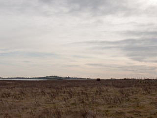 Fototapeta premium open sea coast plain with grass in front horizon overcast clear calm