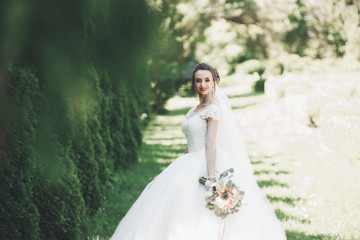 Beautiful bride posing in wedding dress outdoors