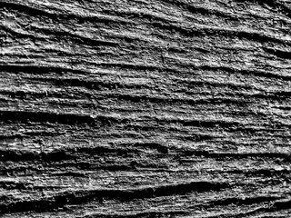 background close up view of cracked rough tree trunk bark texture black and white