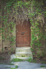 Fototapeta na wymiar Old wooden brown door overgrown with greenery