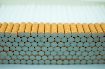 Multiple white cigarettes (tubes) with yellow filters in a row. Isolated
