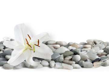 Wellness -  Dekoration - Steine