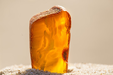 Amber on a beach of the Baltic Sea