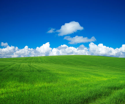green field with blue heaven