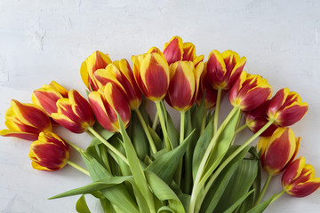 on a white background red with yellow tulips