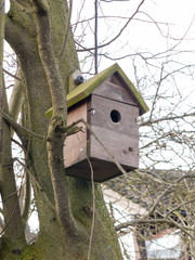 close up of bird nest wooden outside nailed to tree
