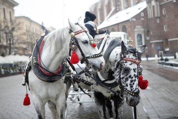 Naklejka na ściany i meble Horse-Drawn Carriage Parked In The Main Market Square;