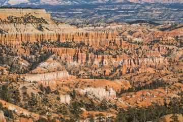 Scenic Bryce Canyon Utah Winter Landscape