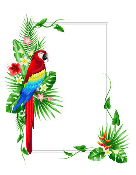 tropical leaves and flowers with a parrot