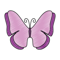butterfly flying decorative frame vector illustration design