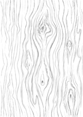 tekstura wzoru drzewa - 193015033