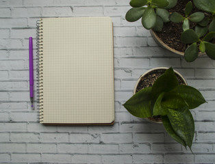 A notebook, pen and houseplants on white background. Education concept.