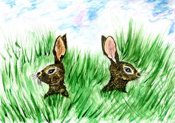 Wild Hare in Grass Art