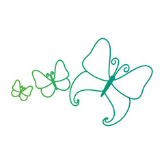 butterflies flying decorative frame vector illustration design