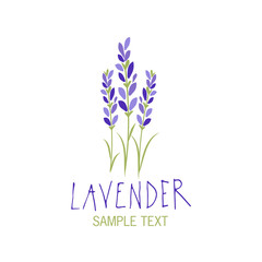 Lavender flower. Logo design. Text hand drawn.