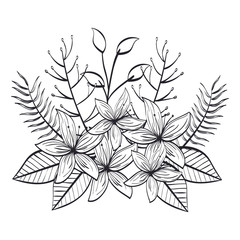monochrome and rustic decoration floral vector illustration design