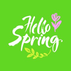 Obraz premium Phrase Hello spring Brush lettering isolated on green background. Handwritten vector Illustration.