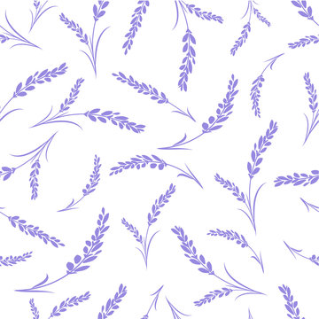 Seamless lavender flowers pattern on white background.