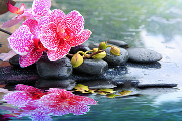 Pink orchid flowers and spa stones reflected in the water.