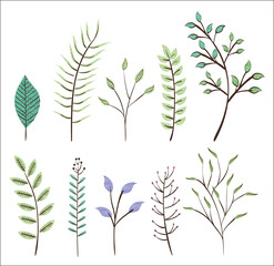 Obraz premium leafs plant set vintage icons vector illustration design