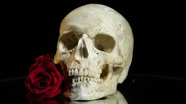Skull and roses on the presentation table