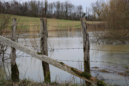 inondations et barbelés