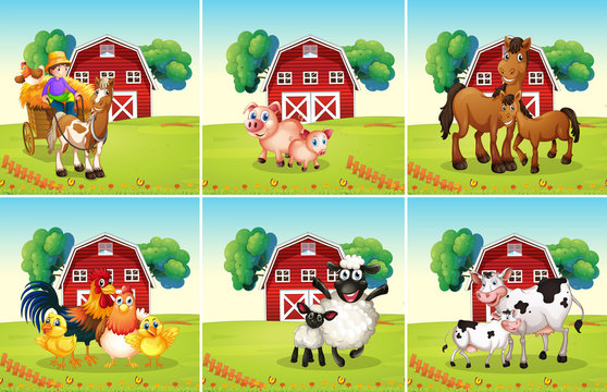 Six scenes with animals on the farm