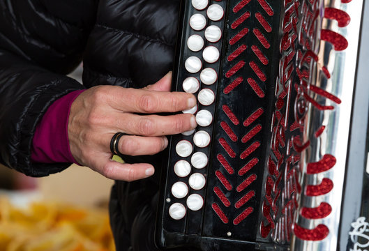 The accordion, an instrument widely used in Basque culture