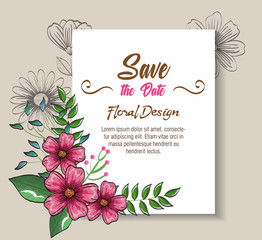 floral decoration flyers postcards vintage style vector illustration design