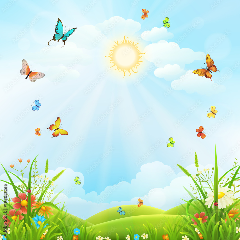 Wall mural Summer or spring landscape with green grass, flowers and butterflies scenery