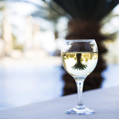 A glass of white wine stands near a street lamp among the palms on the background of the blue sea