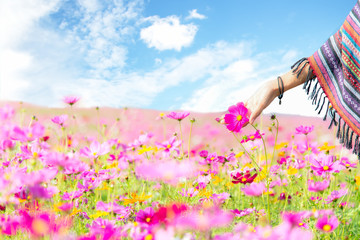 Traveler Asian women hand touch cosmos flower, freedom and relax in the flower farm, blue sky...