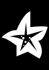 Pitaya fruit vector illustration