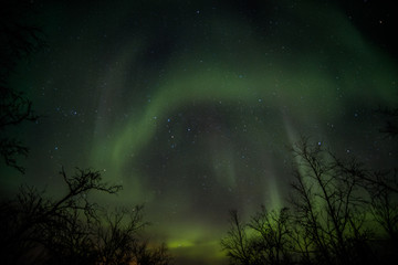 Northern lights