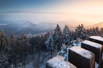 Wintermorgen im Pfälzerwald