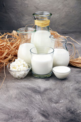 milk products. tasty healthy dairy products on a table on