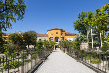 Fototapeta na wymiar Botanical garden in Padua, the oldest in the world. Italy