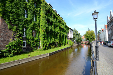 Old house with ivy over the canal (Gdańsk in Poland)