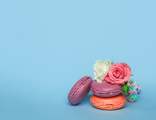 macaroons on pastel blue color background