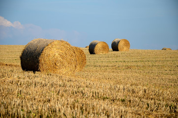 A field with straw bales © Artur Henryk