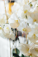 Fototapeta premium Festive concept, beautiful bouquet of flowers from archeology