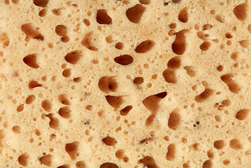 Sponge, porous material. Texture background
